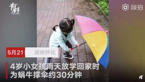 最火幼儿园拍球视频,萌娃球技惊艳全场，萌态百出引网友热议