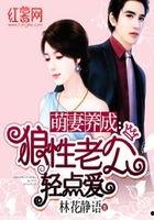 狼性老公轻点爱txt