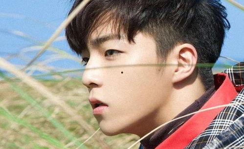 00后明星帅男,青春偶像的崛起之路