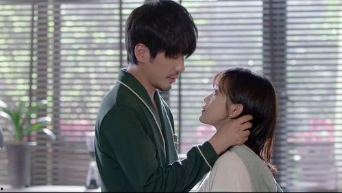 蓬莱间29集免费观看,揭秘神秘事件，免费观看带你探秘