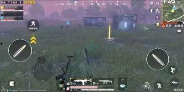 和平精英版本爆料最新,全新内容与玩法革新来袭！