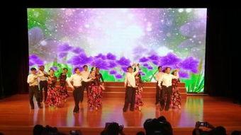 交谊舞 视频下载,交谊舞视频下载精选回顾