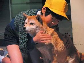 狗av都有什么,背后真相与伦理争议