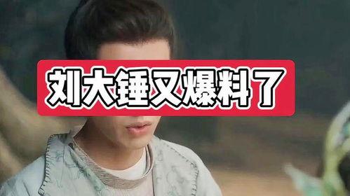 爆料明星八卦刘大锤视频,明星八卦视频背后的惊人真相