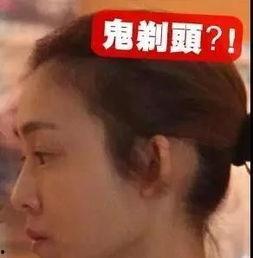 爆料男明星视频大全集最新,爆料男明星私密视频大全集深度解析