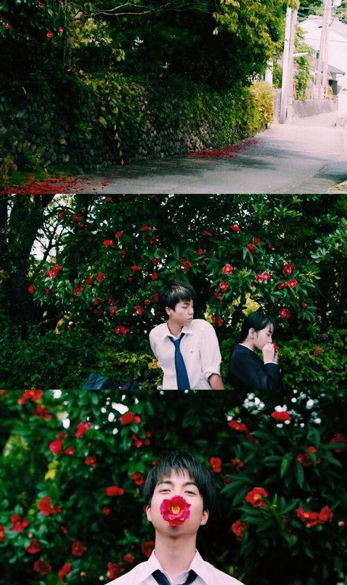 溺水小刀全集免费观看,免费畅享青春悬疑之旅