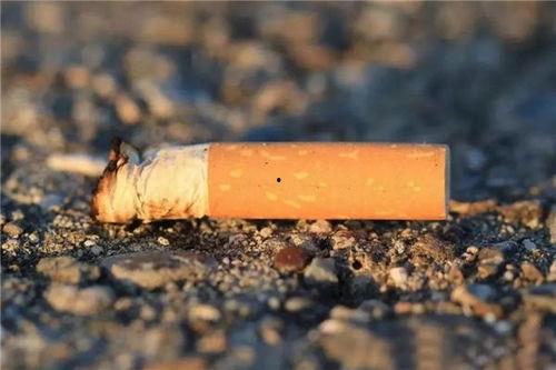 日本 烟头 关岛,“日本烟头在关岛的环保挑战与应对策略”