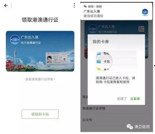 通行证最新爆料信息查询,通行证政策调整，带你全面了解最新动态